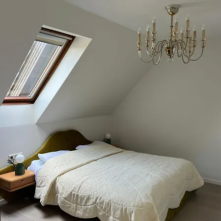 Medziotoju * 帕兰加