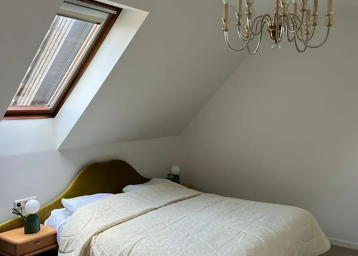 Medziotoju * Palanga